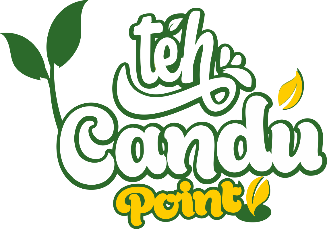 logo point